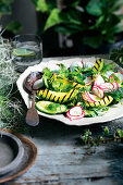 Grilled avocado with radish, cucumber and herb salad