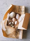 Verschiedene Eier in Schachtel mit Holzwolle
