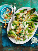 Grilled Chicken with Warm Cos Lettuce Salad