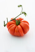'Hopi' (tomato variety)