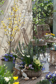 Terrassen-Arrangement mit Rosmarin und Frühlingsblühern im Korb