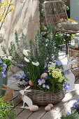Terrassen-Arrangement mit Rosmarin und Frühlingsblühern im Korb