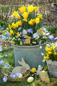 Easter basket with daffodils and tulips