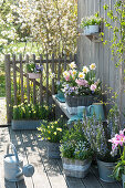 Spring arrangement on the terrace