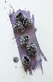 Frozen blackberries scattered over a watercoloured painted background