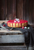 Vegan cake with pudding and rhubarb filling and raspberry sauce