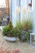 Autumn planting on gravel terrace