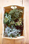 Tray of dried leaves and berries for making homemade herbal tea