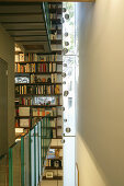 Vertikales Fenster und Bücherregale über mehrere Etagen