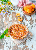 Apricot frangipane tart