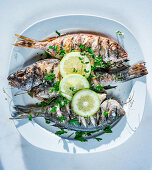 Grilled fish with herbs and lemons