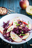 Apple and red cabbage salad with peanuts