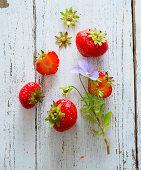 Fresh strawberries and a tufted pansy on a wooden surface