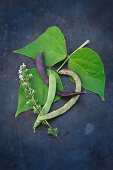 Three different fresh beans with leaves