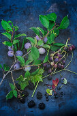 Damsons, red grapes and blackberries with stems