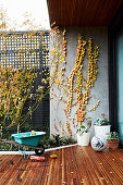 Herbstliche Terrasse mit Kinderspielzeug