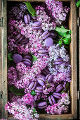 Purple macaroons and lilac in a wooden crate