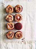 Red Velvet Cupcakes mit Schokoladenfrosting (Aufsicht)