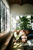 Sunlight falling on brown sofa through glass wall