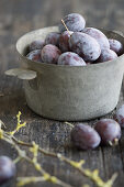 Fresh plums in an old pot