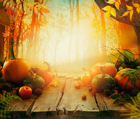 Herbststilleben mit Kürbissen und Obst auf Holztisch im Wald