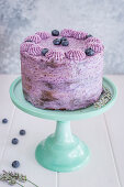 Chocolate and blueberry cake on a cake stand