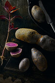 Trüffelkartoffeln und rotes Basilikum auf dunklem Untergrund