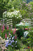 Seating In The Garden Between Lilac And Perennials