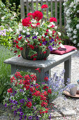 Rot - weiß - lila bepflanzte Körbe mit Balkonblumen