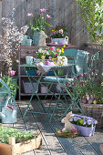 Oster-Balkon mit Frühlingsblühern und Zierkirsche