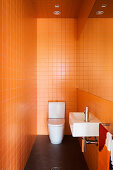 Guest toilet with orange wall tiles