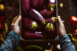Organic vegetables - Farmers Hands with Freshly Harvested Organic Egg Plant