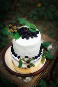 A two tier blackberry cake on an outdoor table