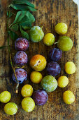 Fresh yellow plums, greengages and plums on a wooden surface (seen from above)