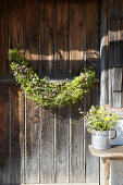 Wildflower garland of lady's bedstraw