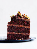 Salted chocolate layer cake with whipped ganache