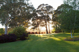 Lawn and trees in a landscaped garden