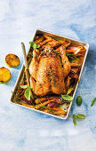 Roast chicken with quinoa, herbs and dried fig stuffing