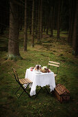 Table in forest set with bundt cake and fruit basket
