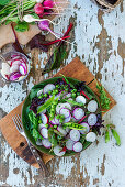 Chard, radish and green peas salad