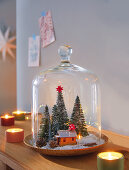 A mini winter landscape under a glass cloche