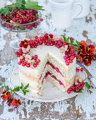 Cake with vanilla sponge, cream cheese and currant jelly