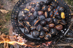 Roasted chestnuts in a pan over a camp fire