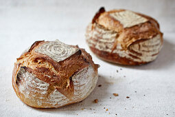 Zwei ganze Laibe Artisanbrot