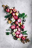 Pink and white apple flatlay with leaves and nuts