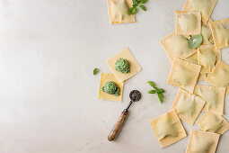 Homemade raw uncooked italian pasta ravioli staffed by spinach ricotta, basil leavrs, pasta cutter