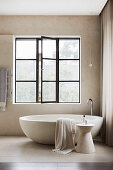 Oval, free-standing bathtub in the bathroom in light gray