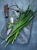 Oriental garlic-chives on a grey marble board with a knife