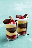 Chocolate and vanilla parfait with biscuits