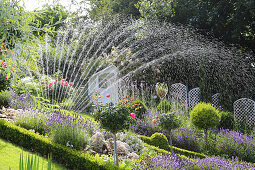 Garten mit Rasensprenger beregnen